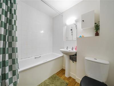Picture 7
